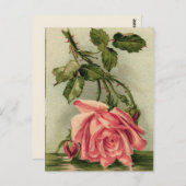 Roze Roze Briefkaart (Voorkant / Achterkant)