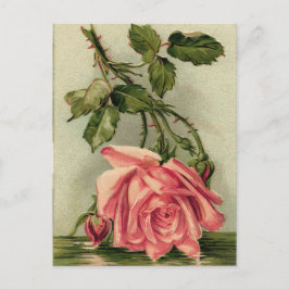 Roze Roze Briefkaart