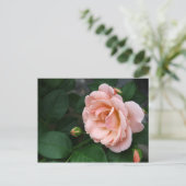 Roze roze Briefkaarten (Staand voorkant)