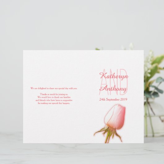 Roze roze bruidbruinkoolprogramma (Staand voorkant)
