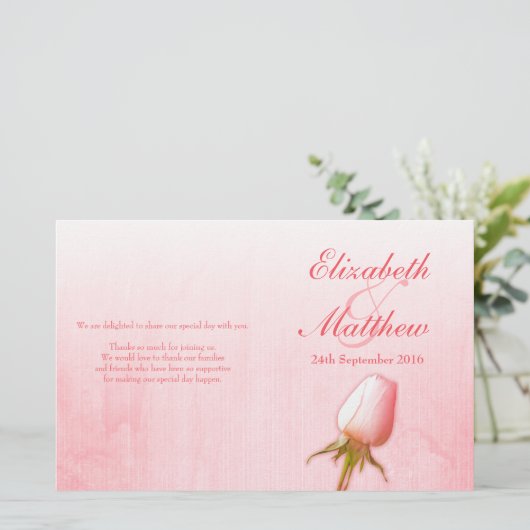 Roze roze bruidbruinkoolprogramma (Staand voorkant)