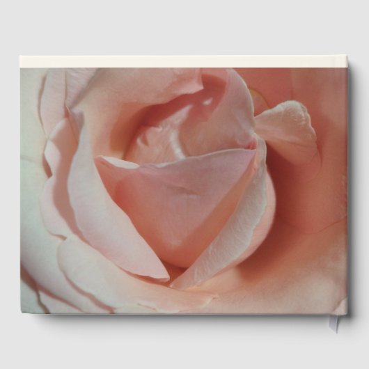 Roze roze bruidstagiaire gastenboek (Achterkant)