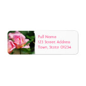 Roze Roze Bud Mailing Labels (Voorkant)