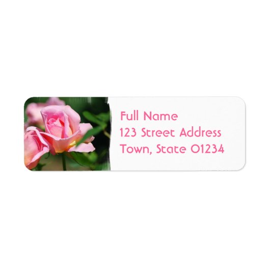 Roze Roze Bud Mailing Labels (Voorkant)
