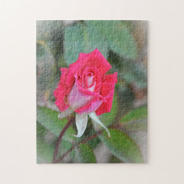  Roze Roze Bud Tuin Kunst Puzzel