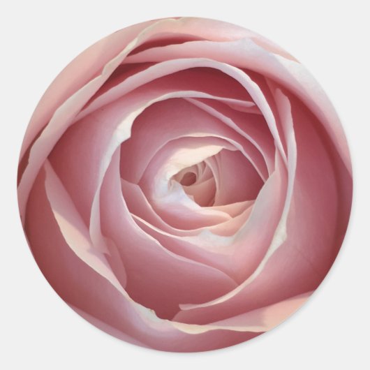 Roze roze cirkelvormige Stickers (Voorkant)