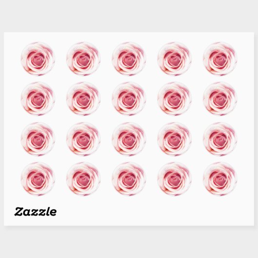 Roze roze cirkelvormige Stickers (Vel)