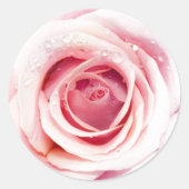 Roze roze cirkelvormige Stickers (Voorkant)