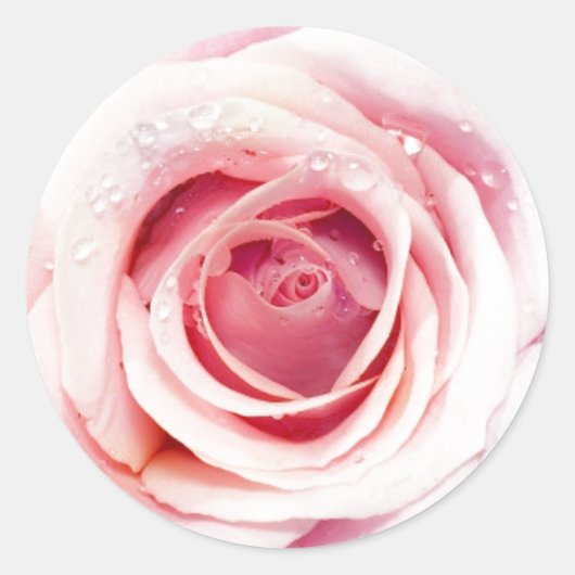 Roze roze cirkelvormige Stickers (Voorkant)