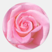 Roze roze cirkelvormige Stickers (Voorkant)