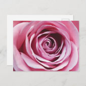 Roze roze detail, roestbloem romantisch bloemenblo briefkaart (Voorkant / Achterkant)