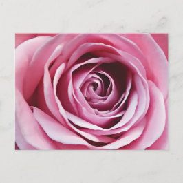 Roze roze detail, roestbloem romantisch bloemenblo briefkaart