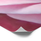 Roze roze details, natuur tuinbloem poster (Hoek)