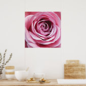 Roze roze details, natuur tuinbloem poster (Keuken)