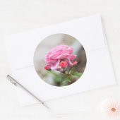 roze roze drie rode knoppen ronde sticker (Envelop)