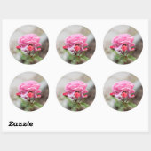 roze roze drie rode knoppen ronde sticker (Vel)
