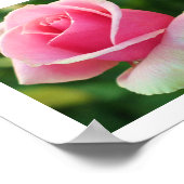 Roze roze druk poster (Hoek)