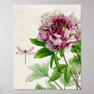 roze roze en dragonfly Wall Art Poster