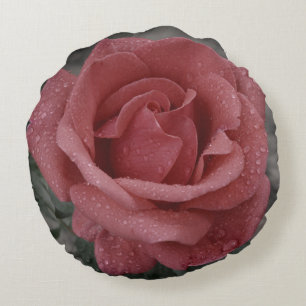 Roze roze en regendruppels rond de loods kussen