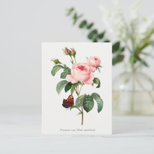 Roze roze en vlinder Botanische illustratie Briefkaart (Staand voorkant)