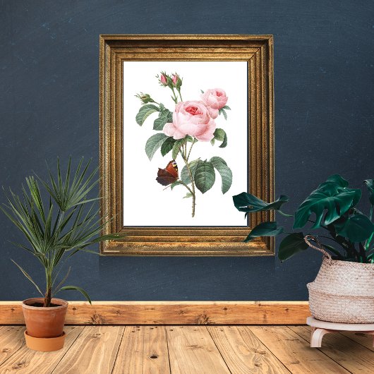 Roze roze en vlinder poster