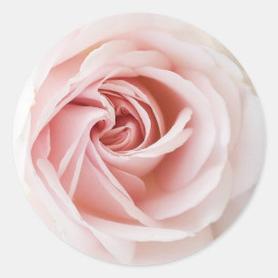 Roze roze en witte hout Shabby Chic Vrijgezellenfe Ronde Sticker