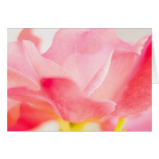 Roze Roze Fine Art Flower Greet Note Card