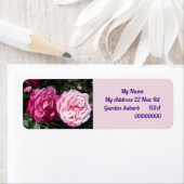  roze roze foto Terug Adres Etiketten (Insitu)