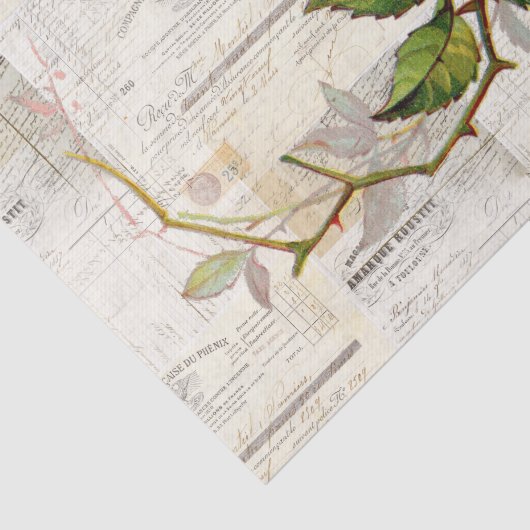 Roze roze  Frans schrijfpapier Tissuepapier (Detail)