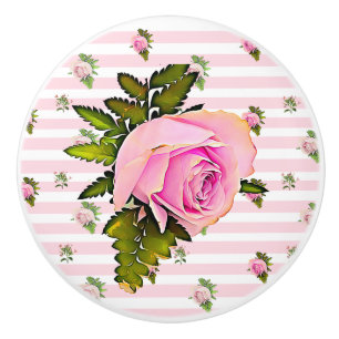 Roze Roze Gestreepte Latijnse witte knop