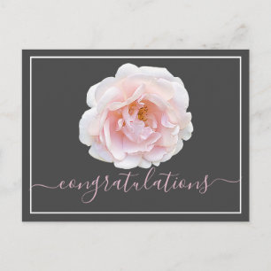 Roze roze grijze achtergrond Gefeliciteerd Briefkaart