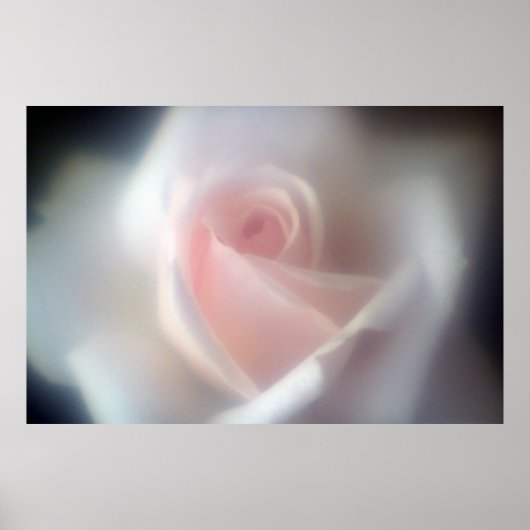Roze roze grote Poster/afdruk Poster (Voorkant)