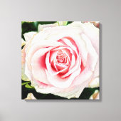 Roze Roze Hand-getrokken Potlood Crayon Art Print (Voorkant)