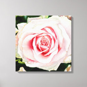 Roze Roze Hand-getrokken Potlood Crayon Art Print