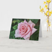  roze roze Kaart Hebreeuws 10:23 (Gele Bloem)