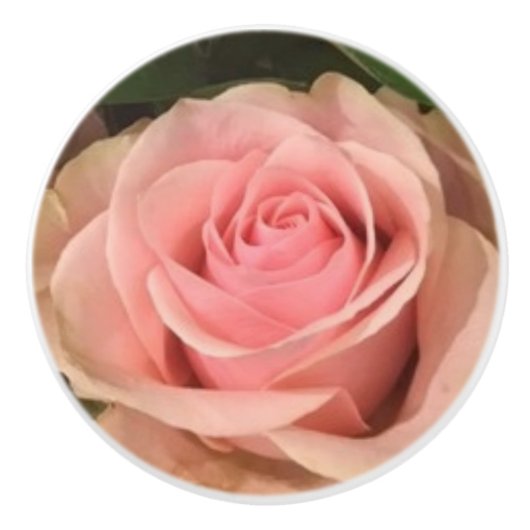 Roze Roze Keramische Pull Knop (Voorkant)