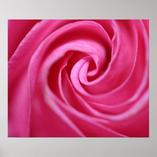 Roze roze klaver poster (Voorkant)