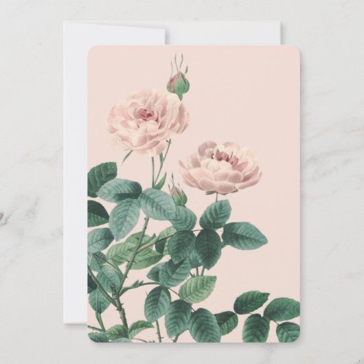 Roze roze Lijst Baby shower Uitnodiging (Achterkant)