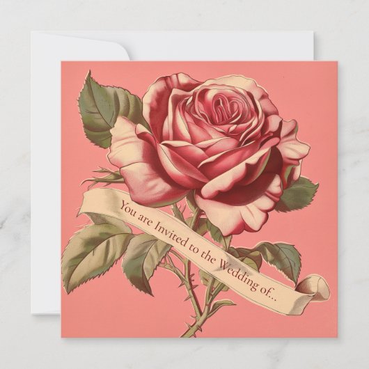 Roze Roze Lint Bruiloft Uitnodiging (Voorkant)