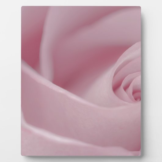 Roze roze Macro Fotoplaat (Voorkant)