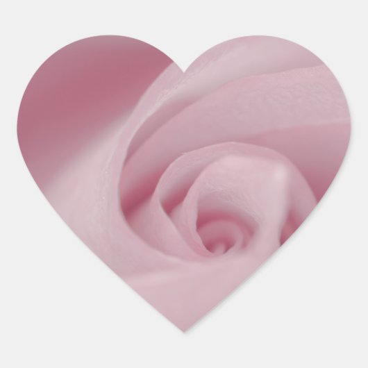 Roze roze Macro Hart Sticker (Voorkant)