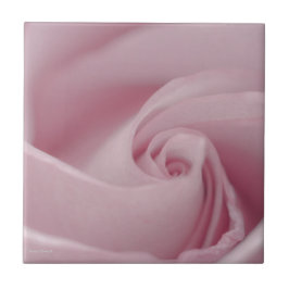 Roze roze Macro Tegeltje