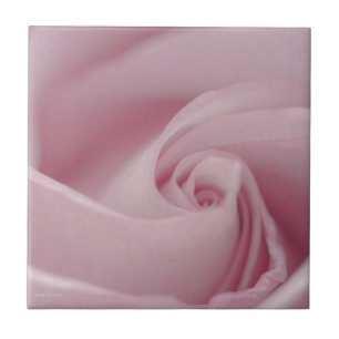 Roze roze Macro Tegeltje