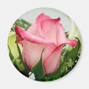Roze roze magneet
