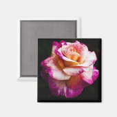 Roze Roze Magneet Voor Koelkast en Borden (Voorkant / Achterkant)