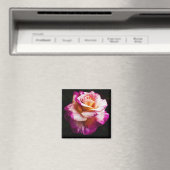 Roze Roze Magneet Voor Koelkast en Borden (Insitu (Vaatwasser))