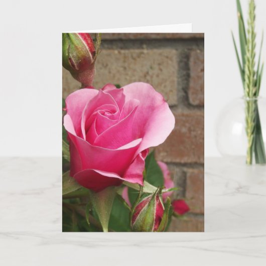 Roze roze met briketten kaart (Voorkant)
