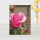 Roze roze met briketten kaart (Gele Bloem)