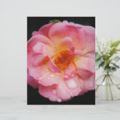 Roze roze met dauwdruppels zwarte achtergrond (Staand voorkant)