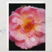 Roze roze met dauwdruppels zwarte achtergrond (Voorkant / Achterkant)